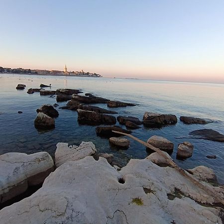 Luna 22 Poreč Dış mekan fotoğraf